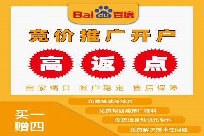 百度竞价托管服务，提升广告投放ROI的秘诀